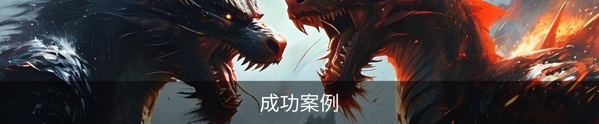 成功案例
